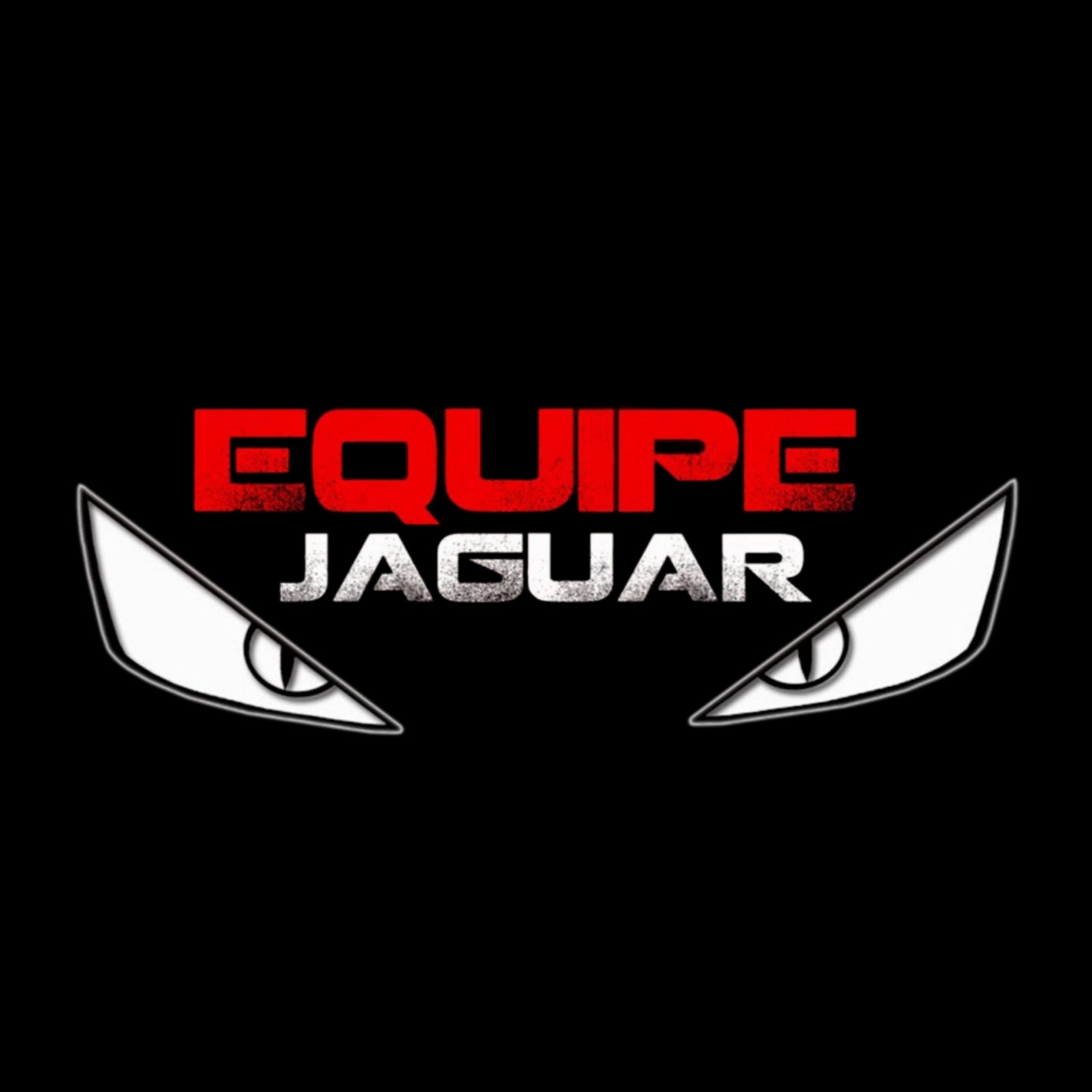 Equipe Jaguar